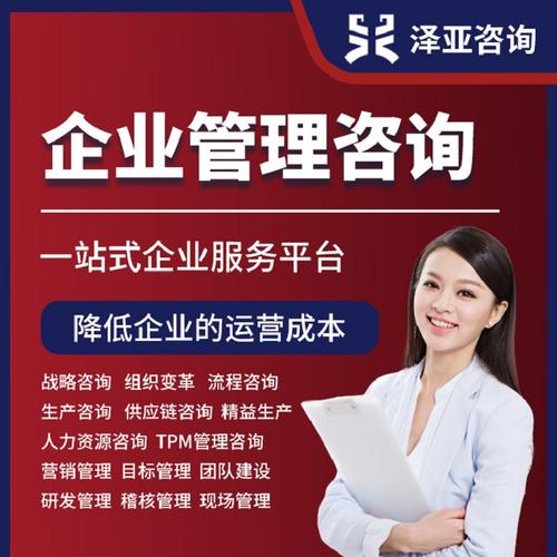 财务管理咨询
